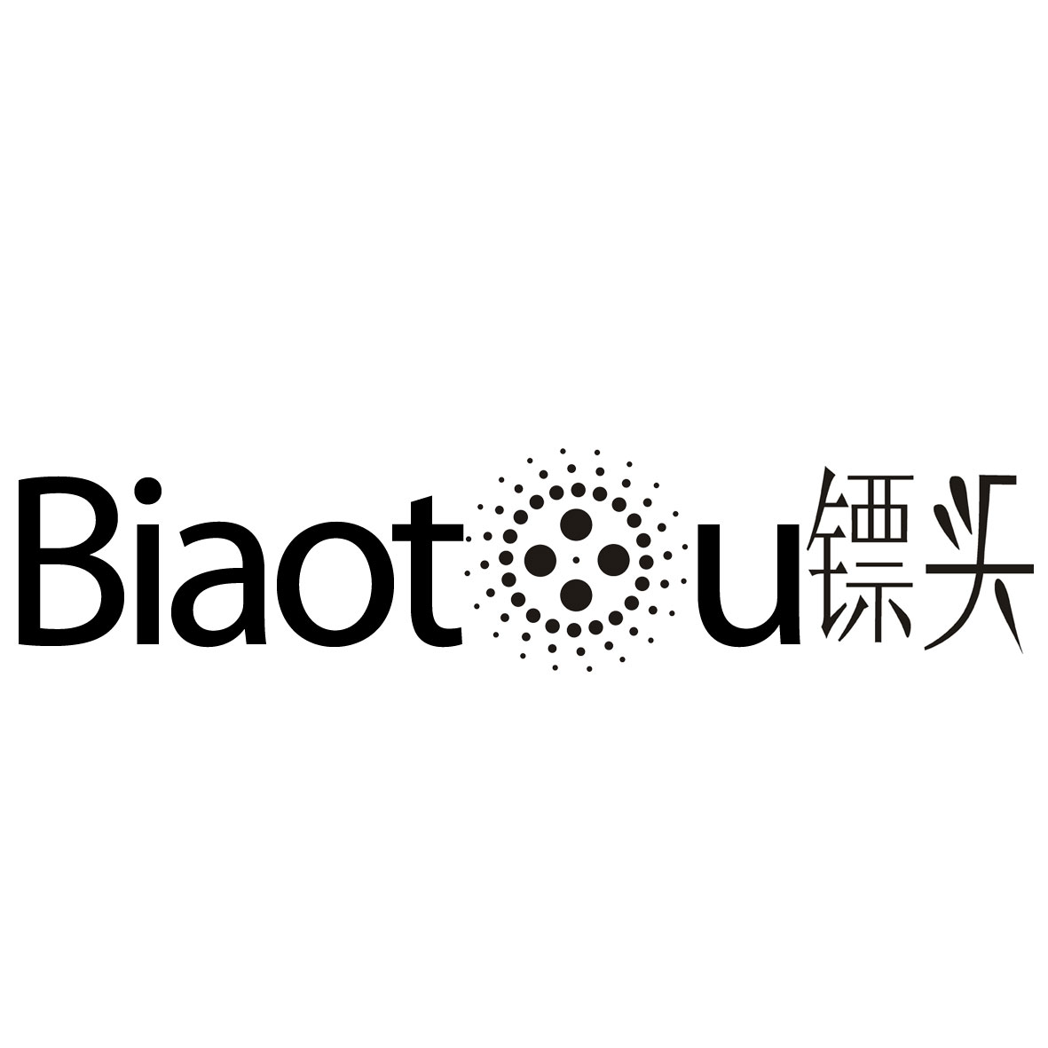 镖头（Biaotou） 笔记本配件