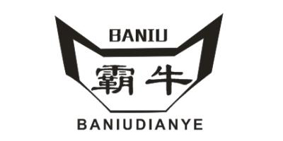 霸牛（BANIU） 插座