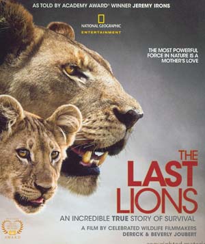 最后的狮子