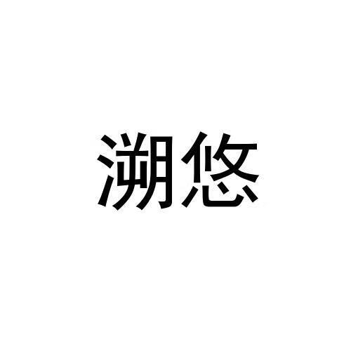 溯悠 项链/吊坠