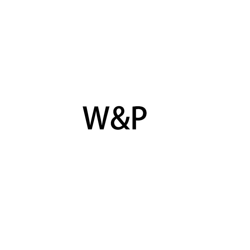 W&P 车载充电器