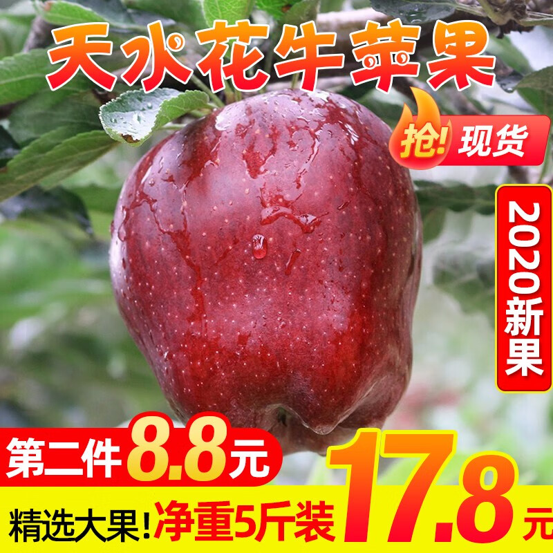 【漏洞速薅】甘肃天水花牛苹果5斤装精品大果8-12个
