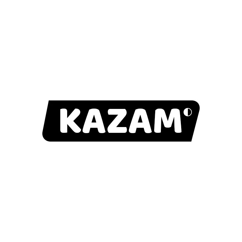 KAZAM 学步车