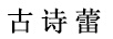 古诗蕾 短外套