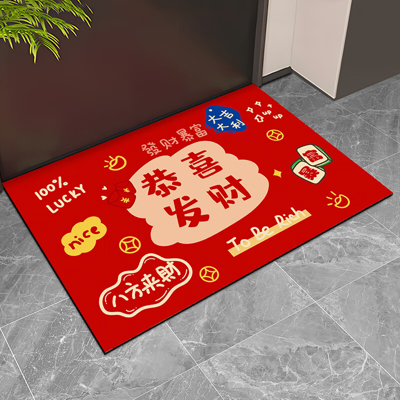 金玉铭川 入户门地垫门口脚垫 40X60cm