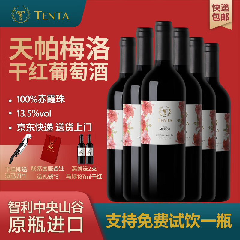 天帕（TENTA）智利进口花标梅洛干红葡萄酒13.5度750ml*6瓶【赠海马刀、礼袋】