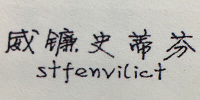 威镰史蒂芬（stfenvilict） 男士皮带