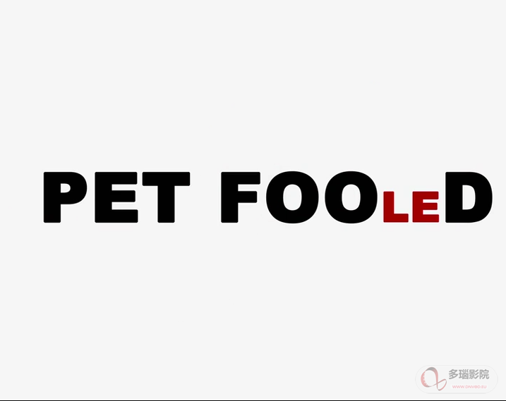 宠物食品PET FOOleD