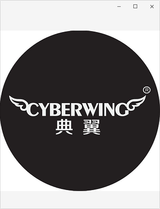 典翼（CYBERWING） 车载充电器