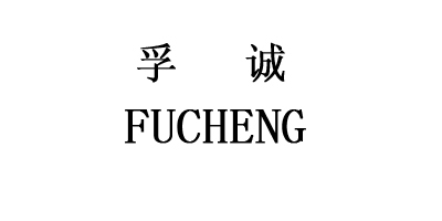 孚诚（FUCHENG） 功能鞋