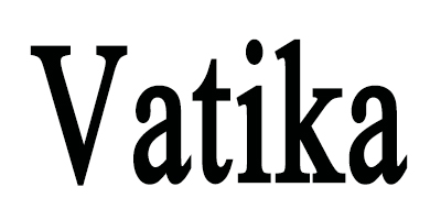 瓦提卡（vatika） 盖白染发膏