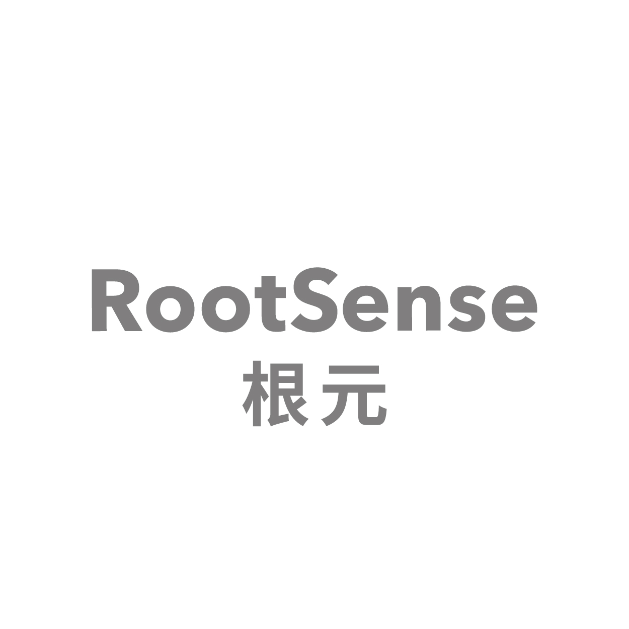 根元（RootSense）