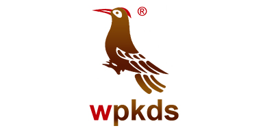 wpkds 女靴