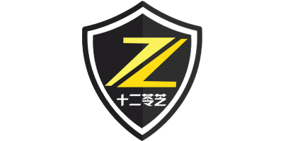 十二苓芝 功能鞋