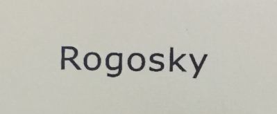 Rogosky 棒球帽