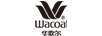 华歌尔（Wacoal） 女式内裤