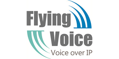 FLYING VOICE 会议音频视频