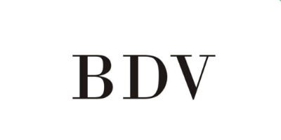 BDV 手机