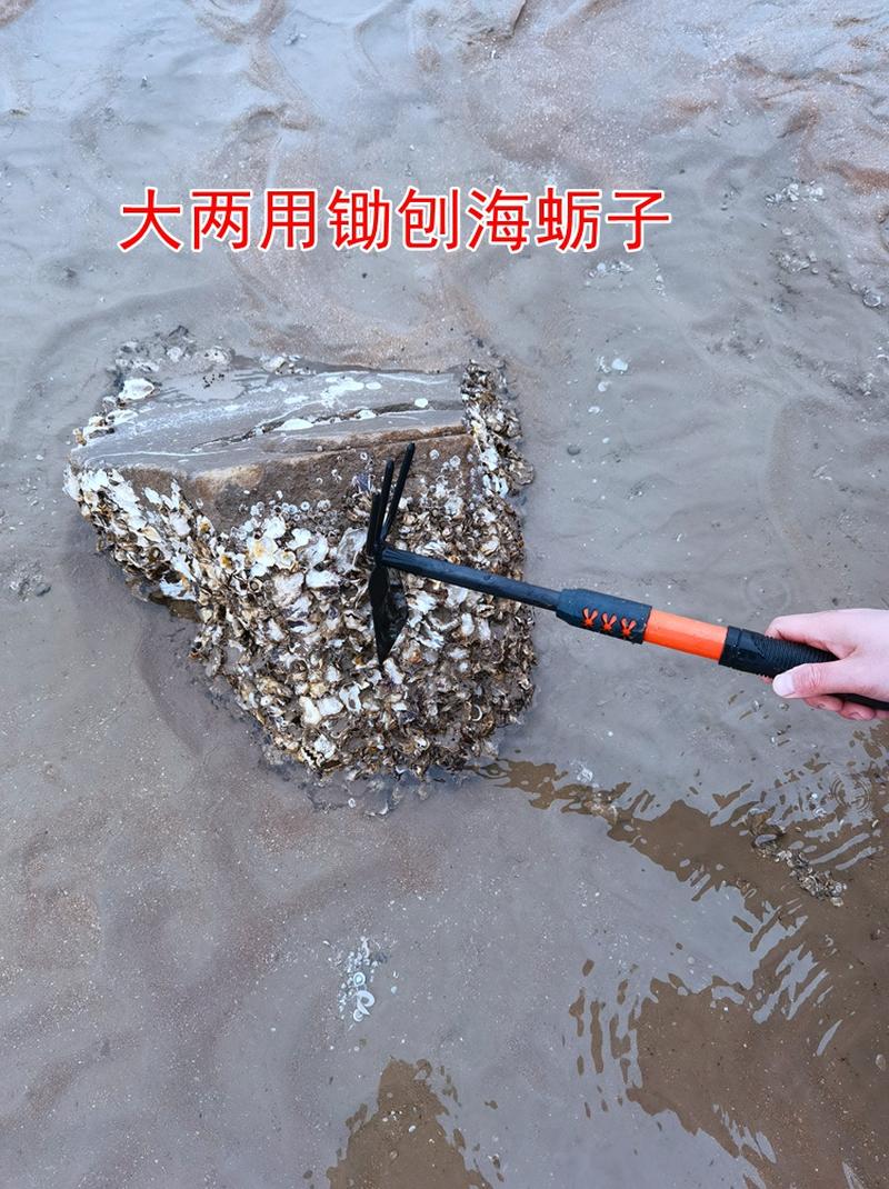 打海蛎子的工具图片图片