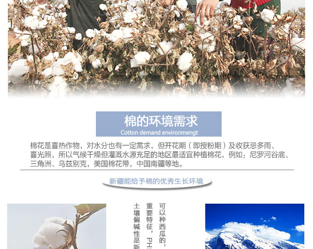 黎都 纯棉床罩 全棉斜纹印花蝴蝶结公主床裙 花舞佳人 1.5x2.0m床裙+枕套一对
