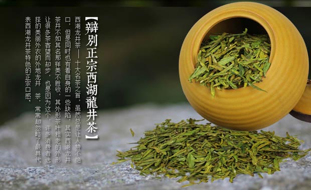 什麼品牌的杭梅綠茶 2015春茶新茶 明前特級西湖龍井茶葉梅家塢口碑茶