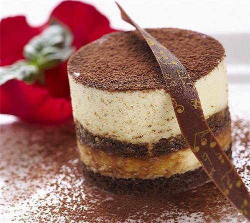 琪雷萨马斯卡布尼奶酪500g 原装进口奶制品 冰袋包装 烘培原料 提拉米