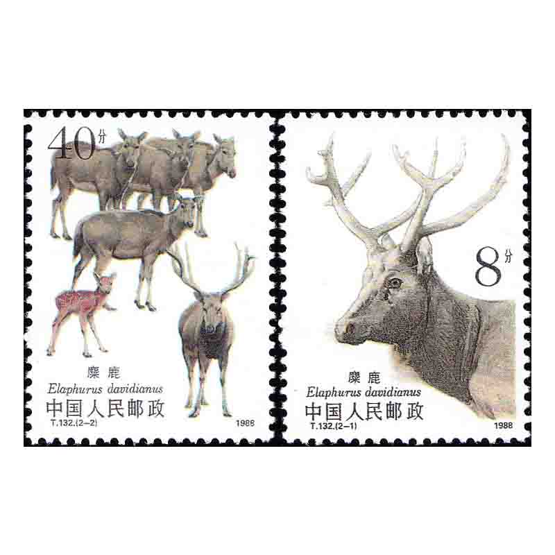中邮收藏 t132 麋鹿(有齿)全新品相 投资佳品 升值邮票