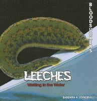 【预订】leeches waiting in the water