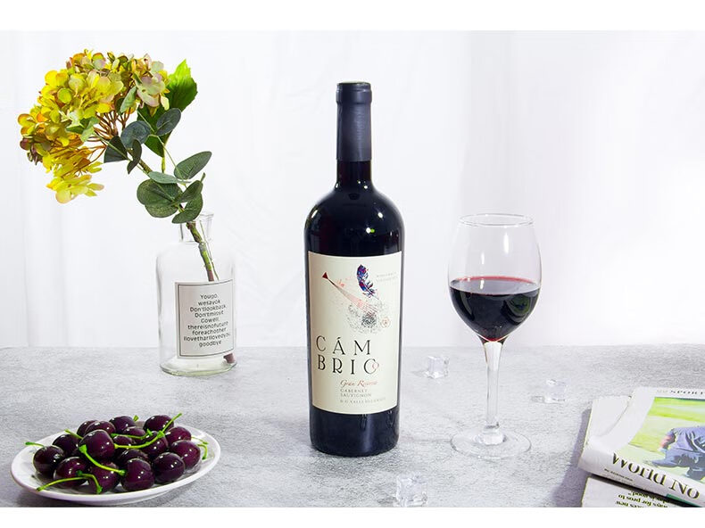 cheers齐饮智利原瓶进口寒武纪特级珍藏赤干红葡萄酒chilegranreserva