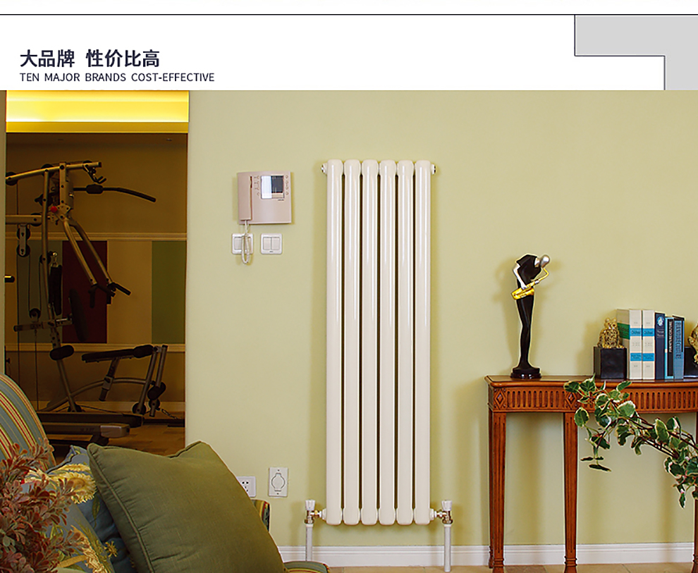 鲁本斯 钢制暖气片家用水暖壁挂式散热器换热器过水热定制采暖2550