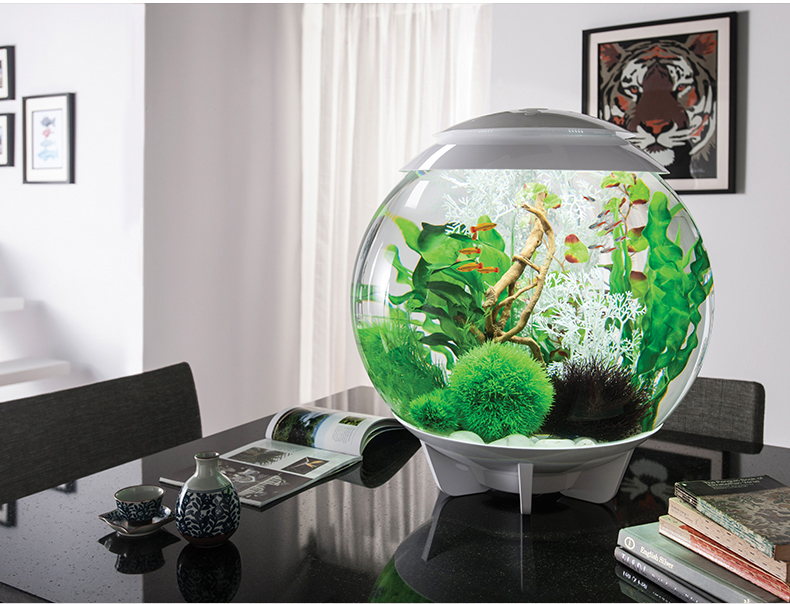 biorb英国鱼缸水族箱自然装饰品 仿真造景布景鱼缸水族箱水草造景