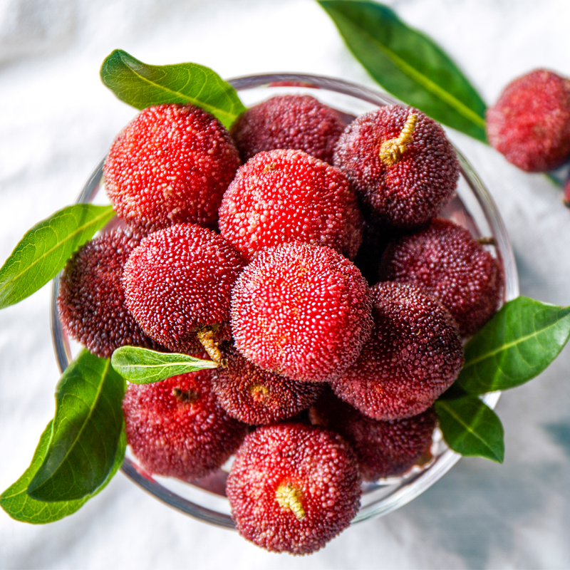 预售福建特产 浮宫杨梅 东魁 新鲜精选礼盒装 生态溯源产地直发 【东