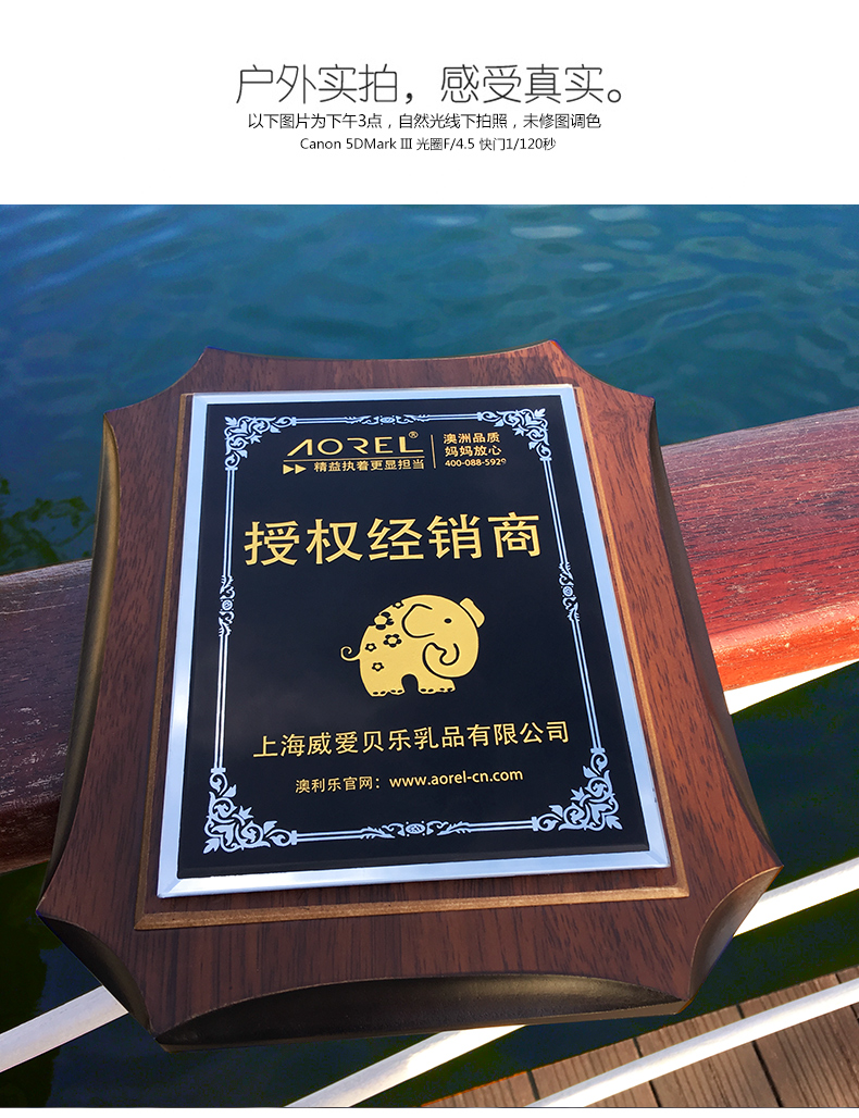 奖牌订做定做木托木质奖牌经销商授权牌定制创意木奖牌 代理授权摆件