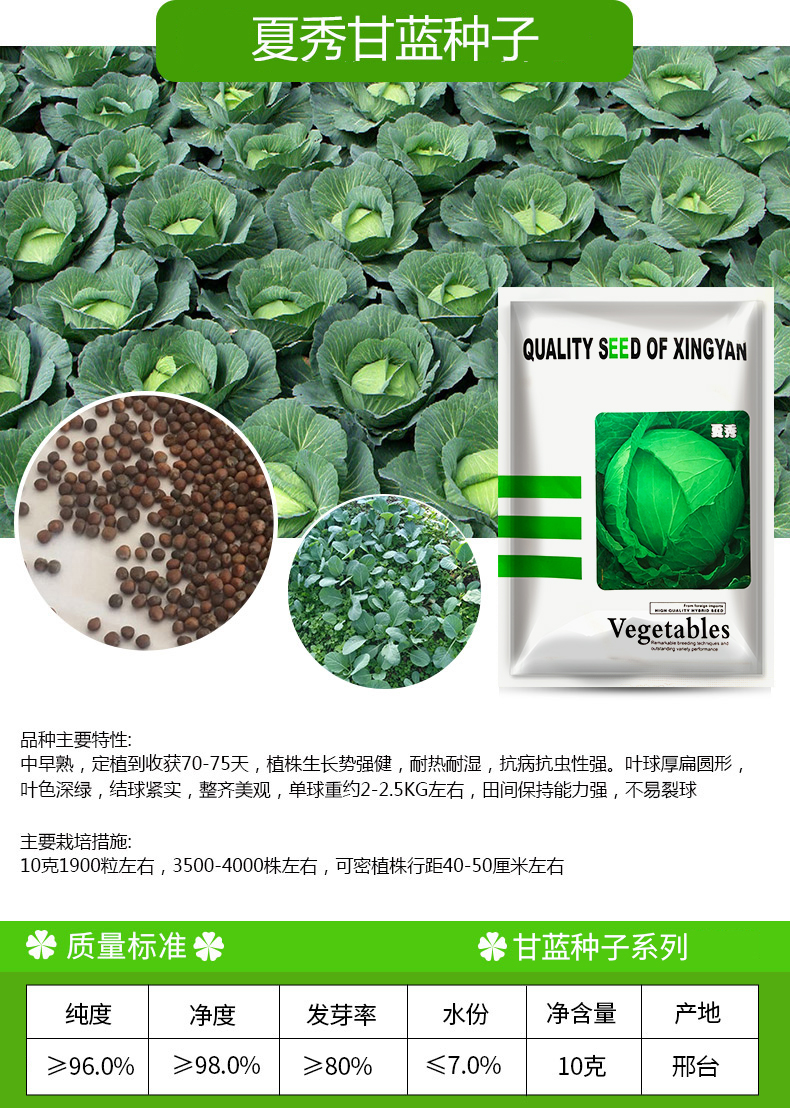 凤鸣雅世蔬菜种子甘蓝种子卷心菜种子包心菜包菜种籽大头菜籽早熟高产菜盆栽菜种子春季菜籽甘兰种子四季蔬菜种籽扁甘蓝种子10克 图片价格品牌报价 京东