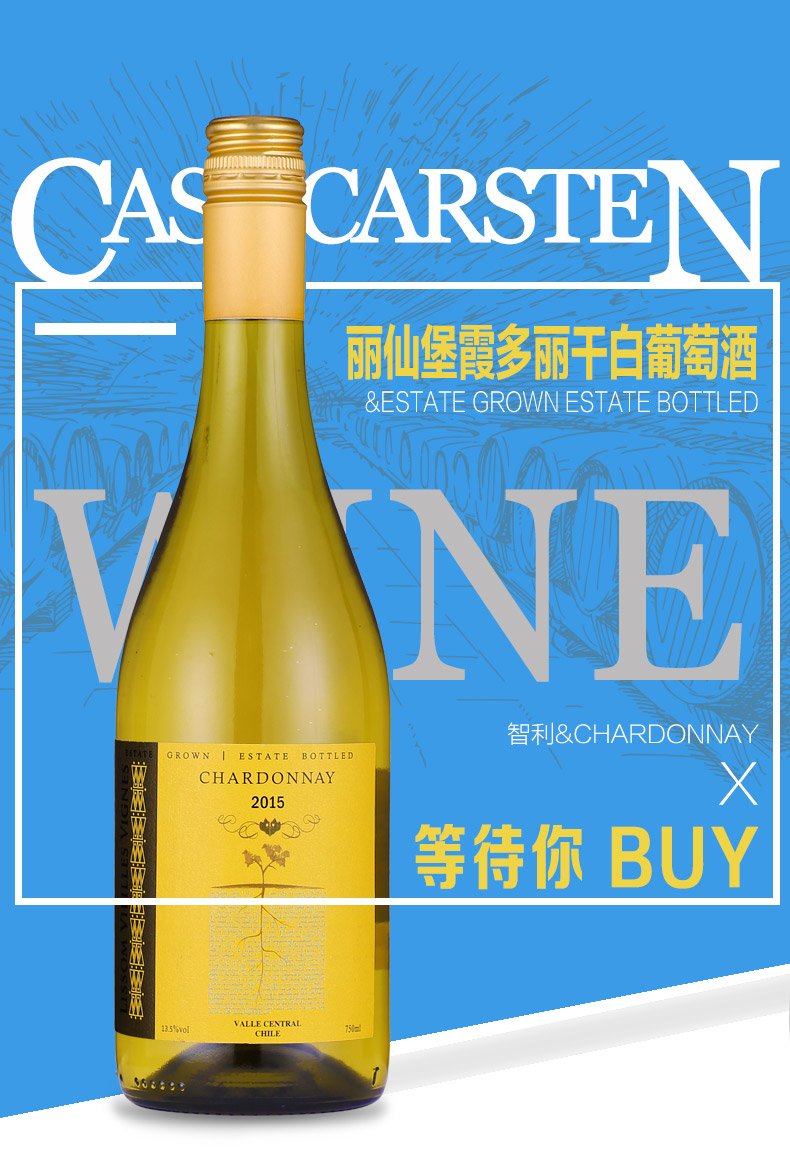 名庄靓年原瓶进口智利中央山谷百年藤霞多丽莎当妮白葡萄酒135度750ml