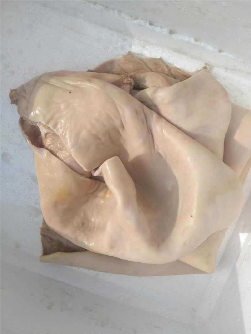 驴皮 新鲜生驴皮 真空去毛驴皮 新鲜现杀 阿胶熬制原料 顺丰 大菜园