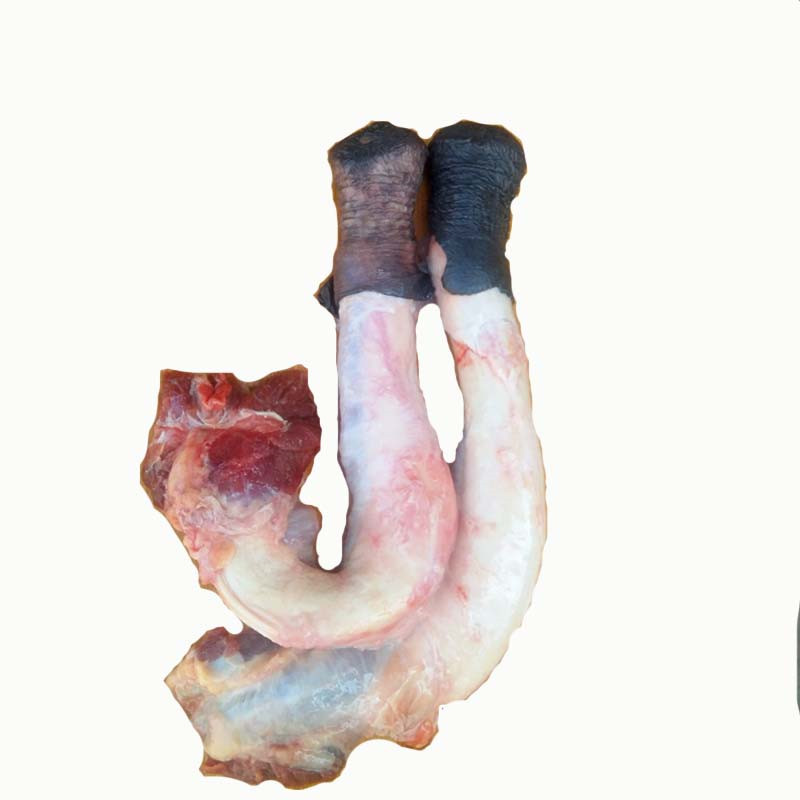 带蛋驴鞭加腰子一套 驴鞭加腰子一对 驴鞭加驴蛋一对 农家散养 新鲜