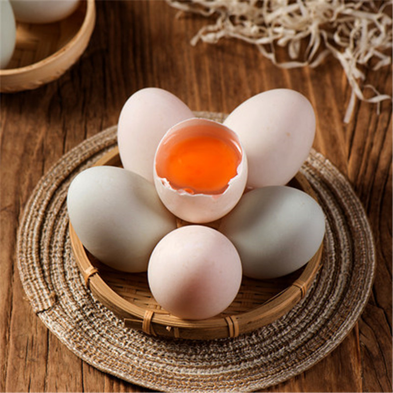 源外园海鸭蛋新鲜生海鸭蛋笨海鸭蛋生鸭蛋广西北海红树林鸭蛋20枚