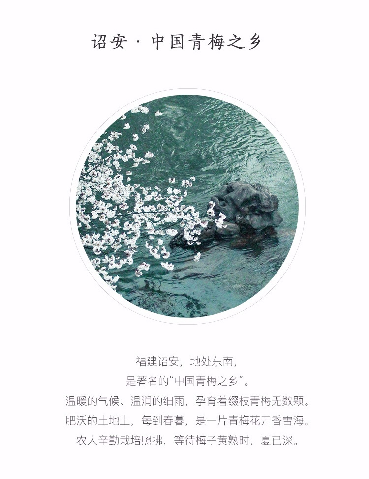 网易严选爽口梅片56克休闲零食小吃1袋装 图片价格品牌报价 京东 网易严选爽口梅片56克休闲零食小吃1袋装 图片价格品牌报价 京东