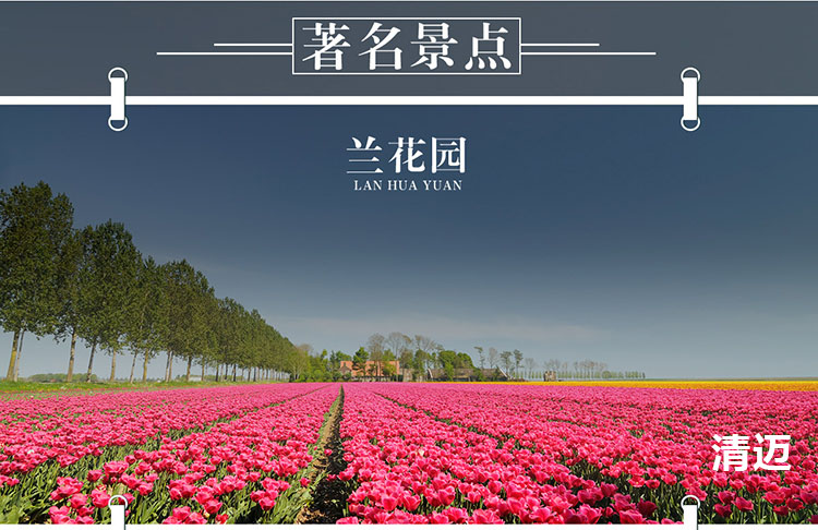 【ca中国国航】北京/天津/上海/杭州/成都-曼谷/普吉岛/清迈直飞往返