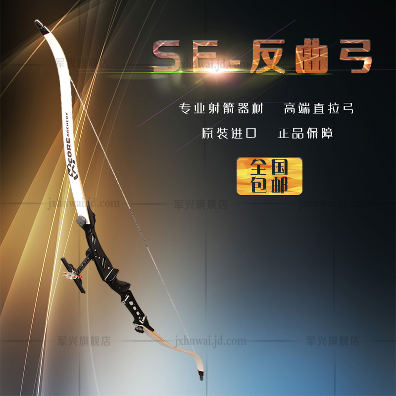 户外狩猎射箭比赛专用弓箭 健身娱乐反曲弓套装 钻石套装
