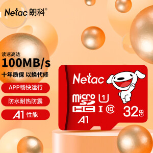 Netac 朗科 P500 京东联名版 Micro-SD存储卡 32GB