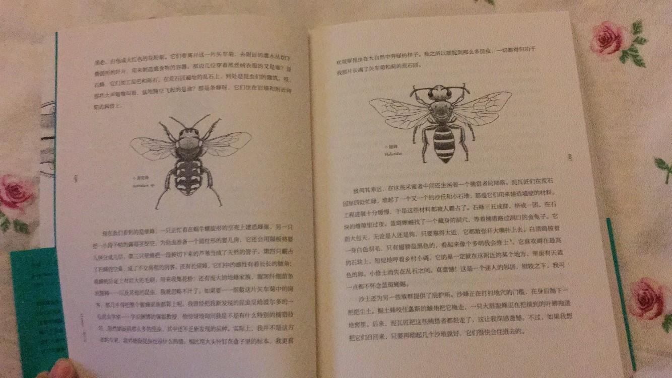 法国人写的昆虫记,书的排版印刷非常好,昆虫画的很细致