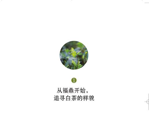 一本全面介绍中国白茶各个方面知识和文化的实用工具书，是目前国内白茶书籍中质量最好的，作者非常用心！