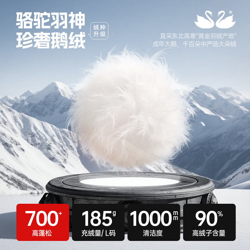 冬季羽绒服选购指南：从百元性价比到高品质鹅绒