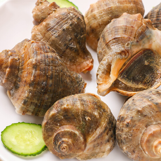【活鲜】大口鲜 海螺8-13个/500g 红螺 海鲜水产