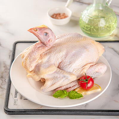 生鲜美食 草原宏达童子鸡600g 散养鸡肉 冷冻新鲜鸡肉 净膛 鲜嫩