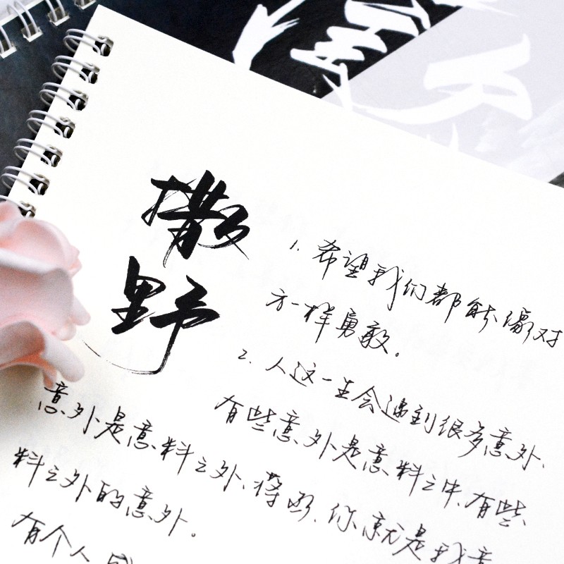 游居敬亭轩 逸然体手写练字帖 手写行书字帖成人练字撒野字体抖音神仙