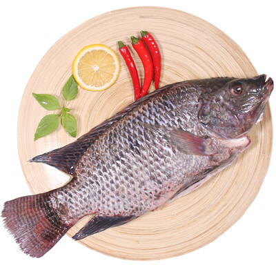 仙泉湖 生态鲷鱼/海罗非鱼 三去500g/袋 去鳃去鳞去内脏 方便菜 水产