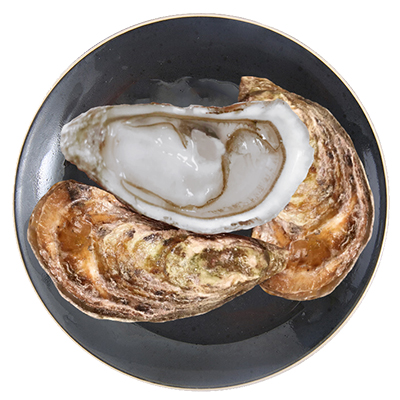 【鲜活】味库wecook 韩国进口生蚝 鲜活牡蛎 6只装/盒 海鲜水产 限量